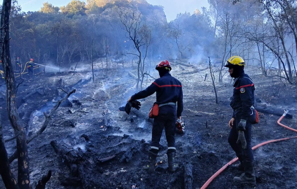 Lo que sabemos de la muerte de un joven bombero voluntario en un incendio forestal Lo que sabemos de la muerte de un joven bombero voluntario en un incendio forestal